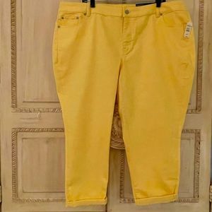 Talbots Girlfriend Ankle Length Pant Size 22WP NWT💥